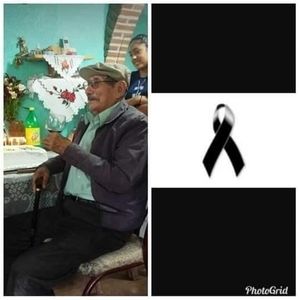 Meet your Posher, Ines